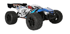 DF Models TW-1 Truggy 5.1 RC