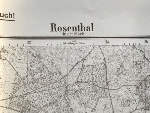 Rosenthal mark rożnowo - i.d.,
