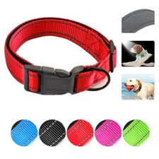 Hundehalsband Halsband