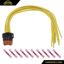 Weiblicher Elektrischer