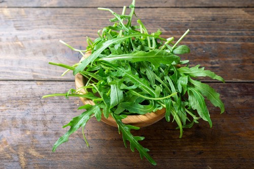 1000 samen wilde rauke - rauke, rucola