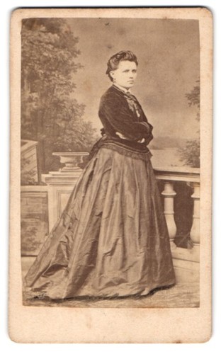 Fotografie degele hameln - c.,