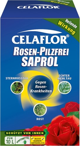Celaflor rosen pilzfrei - celaflor, rosen-pilzfrei