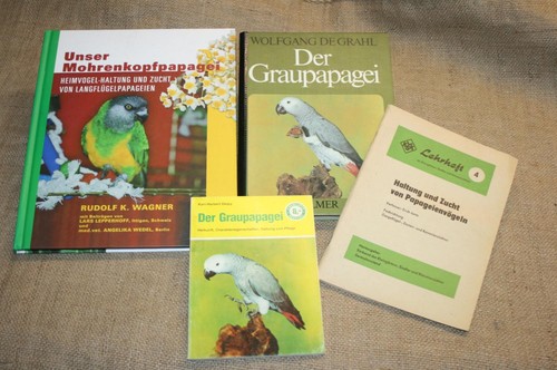 Bücher graupapagei papagei - 4,