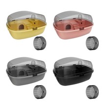 Großer Hamsterkäfig, Ratten