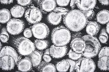 Baumwolle Digitaldruck Panama Deko Bezug Stoff Vorhang Abgesägtes Holz 1331/69