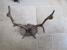 Altes Geweih Trophäe auf Holztafel