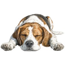 2x Sticker Beagle Car Sticker