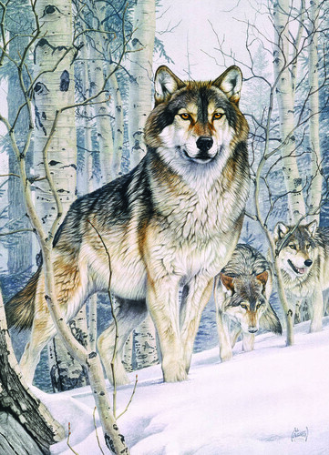 Puzzle wolf im - wolf,