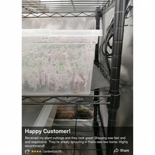 Heizmatte, Heizmatte