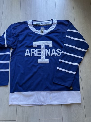 Toronto maple leafs arenas - maple,