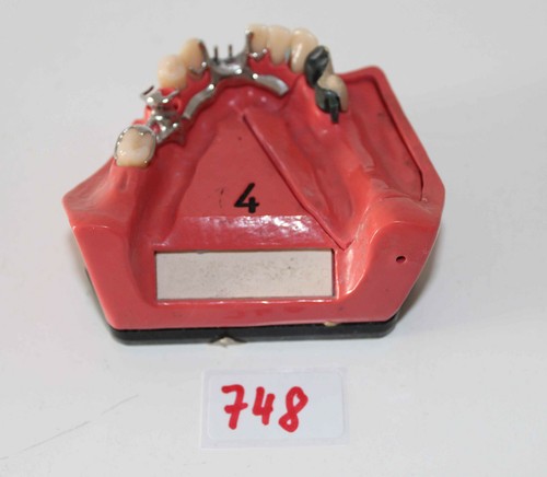 Dent schaumodell 4 - dent,