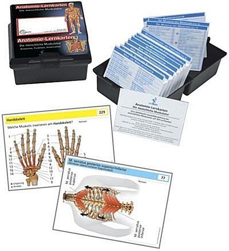 Anatomie lernkarten die - lernkarten,