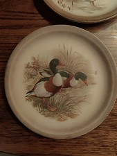 Wandteller Keramik Fayence