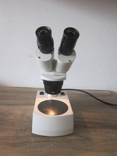 Stereomikroskop 