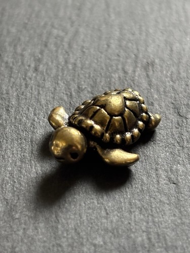 Baby schildkröte aus messing - aus,