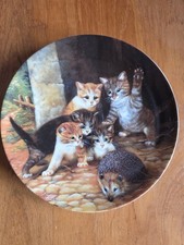 Wandteller Sammelteller