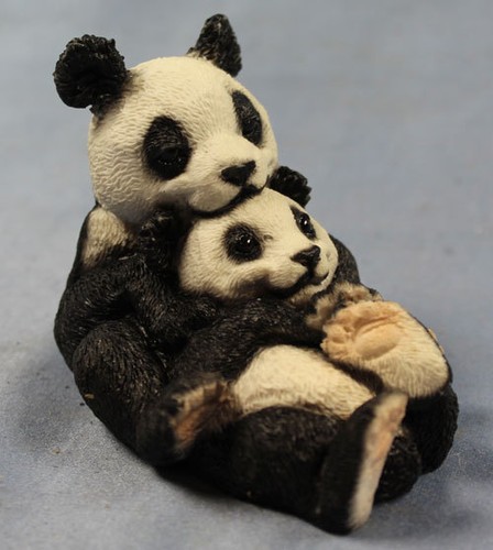 Panda pandabär bären gruppe - bären,