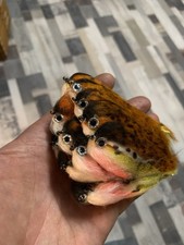 Hechtstreamer Fliegenrolle