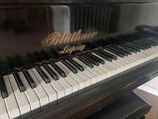 Blüthner Flügel/ Klavier
