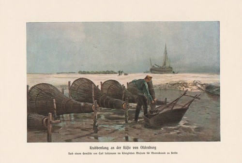 Krabbenfang der küste von - der,