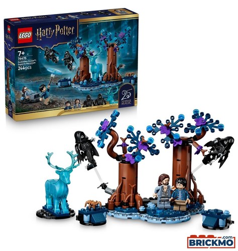 Lego harry potter - harry,