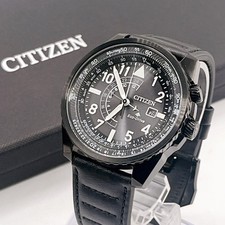 Citizen Nighthawk Promaster