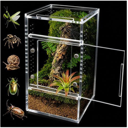 Insekten terrarium acryl - insekten,
