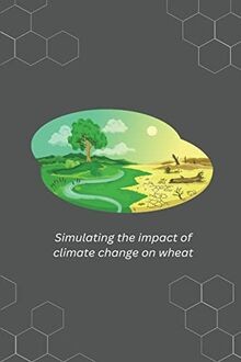 Simulating the impact - , of
