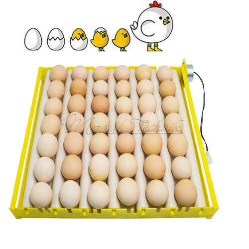 360 automatic rotary egg - 360°,
