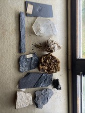 Mineralien Versteinerungen Fossilien Konvolut X 