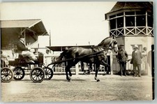 13992335 - 8398 Anzing Kutsche Einspaenner Nr. 3 Hindernisreiten