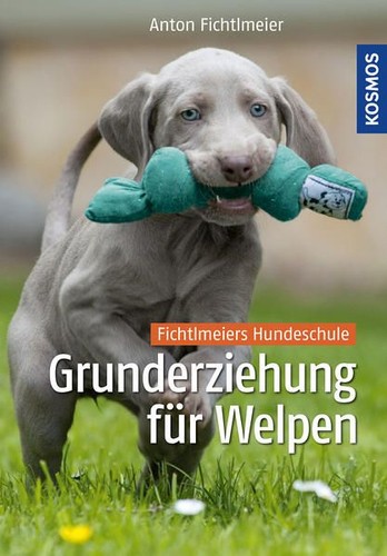 Grunderziehung für welpen - für,