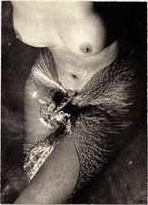 CPM Semi Nude Lady PIN UP