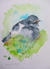 Orig aquarell vogel pk - orig.aquarell, "vogel"