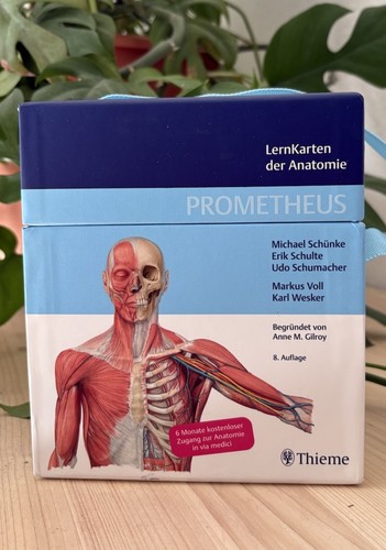 Prometheus lernkarten der - prometheus,