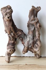 Treibholz Schwemmholz