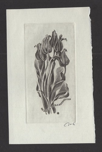 265 exlibris ex - s2)nr.265,exlibris,,