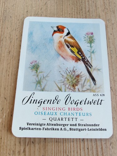 Quartett singende vogelwelt - singende,
