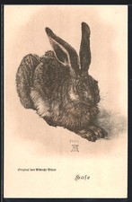 Hase nach Albrecht Dürer, Ansichtskarte 