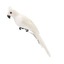 Kakadu Papagei mit echten