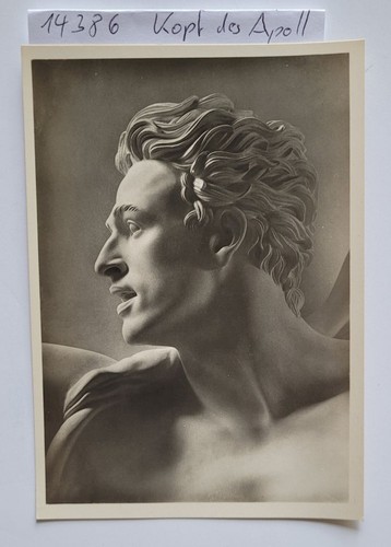 Kopf des apoll original foto - kopf, :