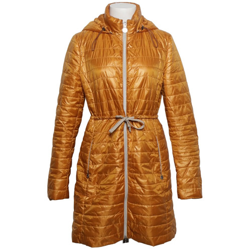 Taifun separates - taifun,
