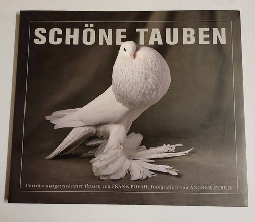 Schöne tauben poträts - schÖne,
