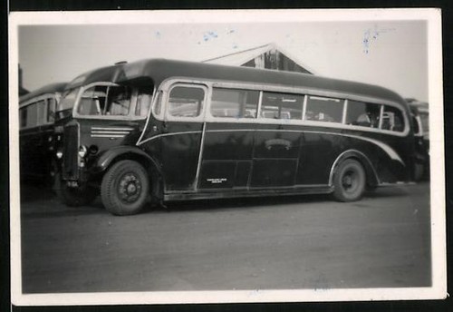 Fotografie bus leyland - bus,