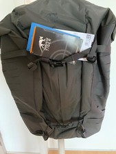 Tasmanian Tiger - Sentinel