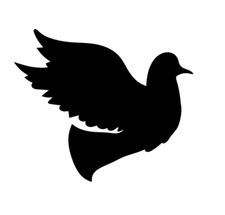 Aufkleber Dove Taube Animal Vogel Car Auto Sticker Tuning JDM Decal LKW Scene 