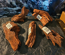 Mangroven Wurzel small 20cm