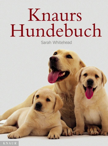 Hundesprache verstehen