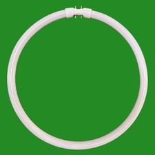 1x 40W GLOCKE Circular 2GX13 4